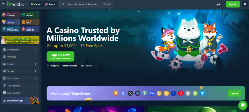 Wild.io crypto casino Canada welcome bonus up to C$5000 plus 75 free spins Bitcoin withdrawal 11 minutes